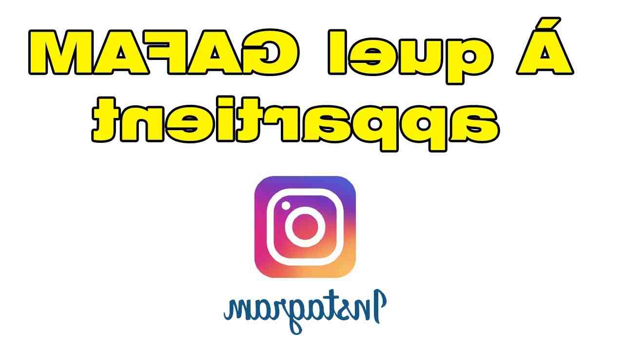 Quel est le Gafam d Instagram ?